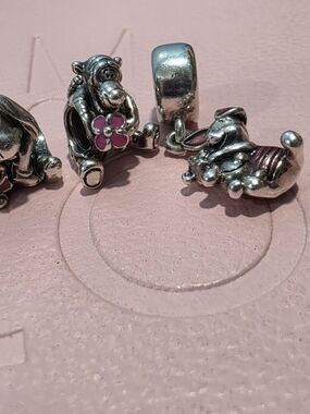 Pandora Charms